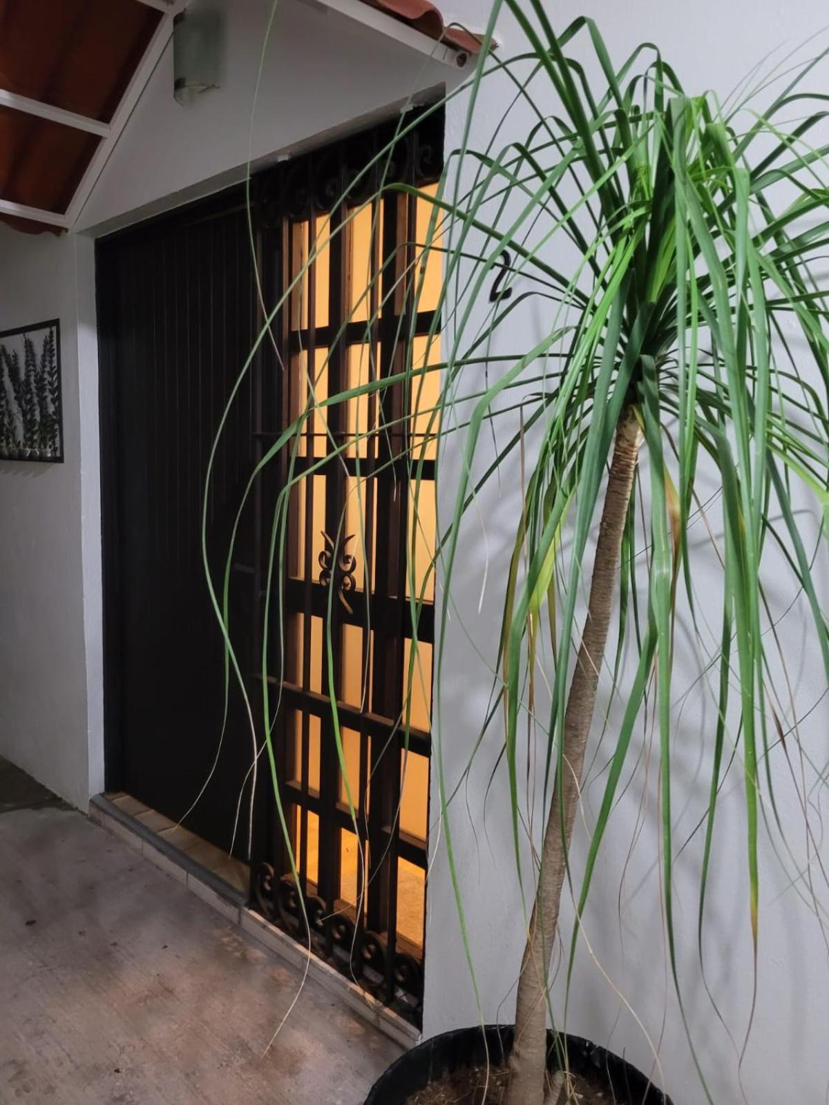 Апартаменти Casa B & L Centrico Departamento Oaxaca Екстер'єр фото